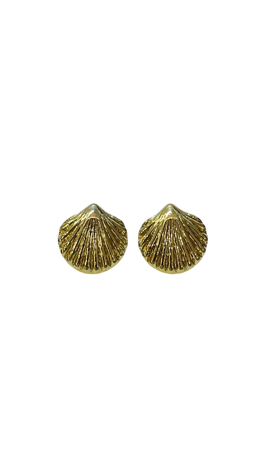 Aretes concha mini