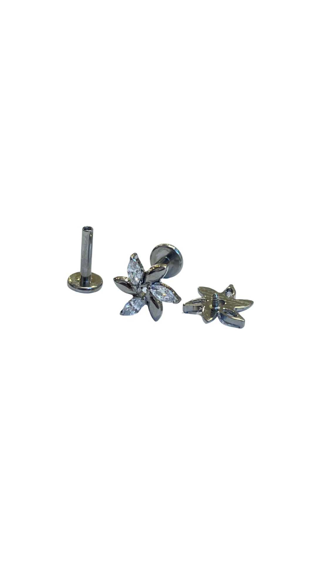 Piercing rosa de los vientos de titanio