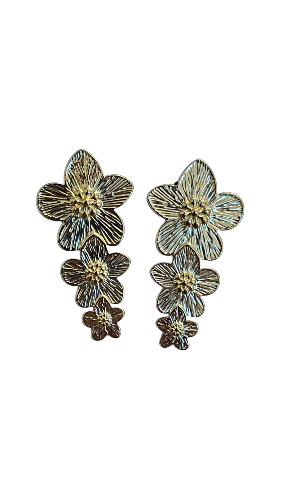 Aretes florida