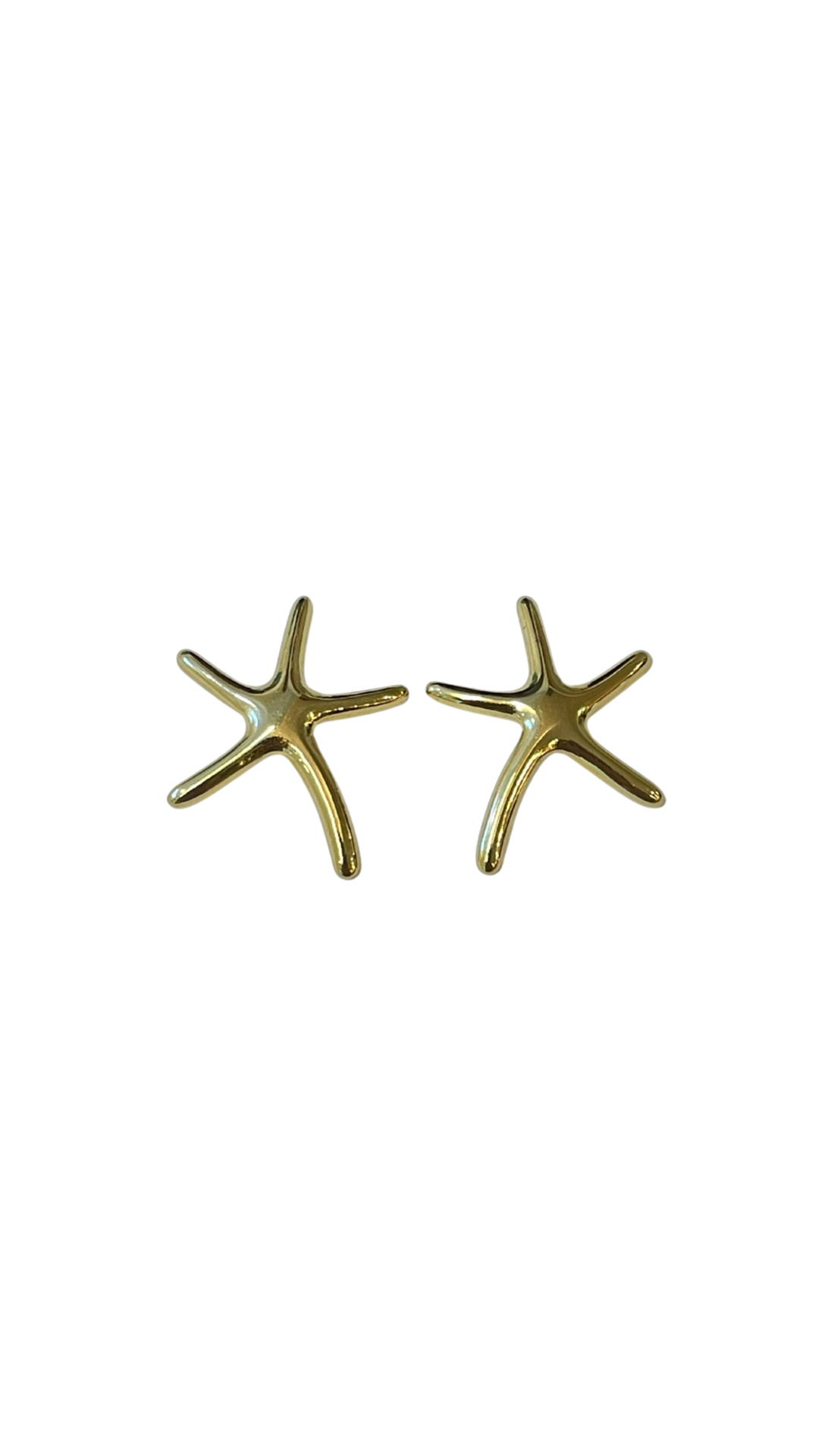 Aretes marina