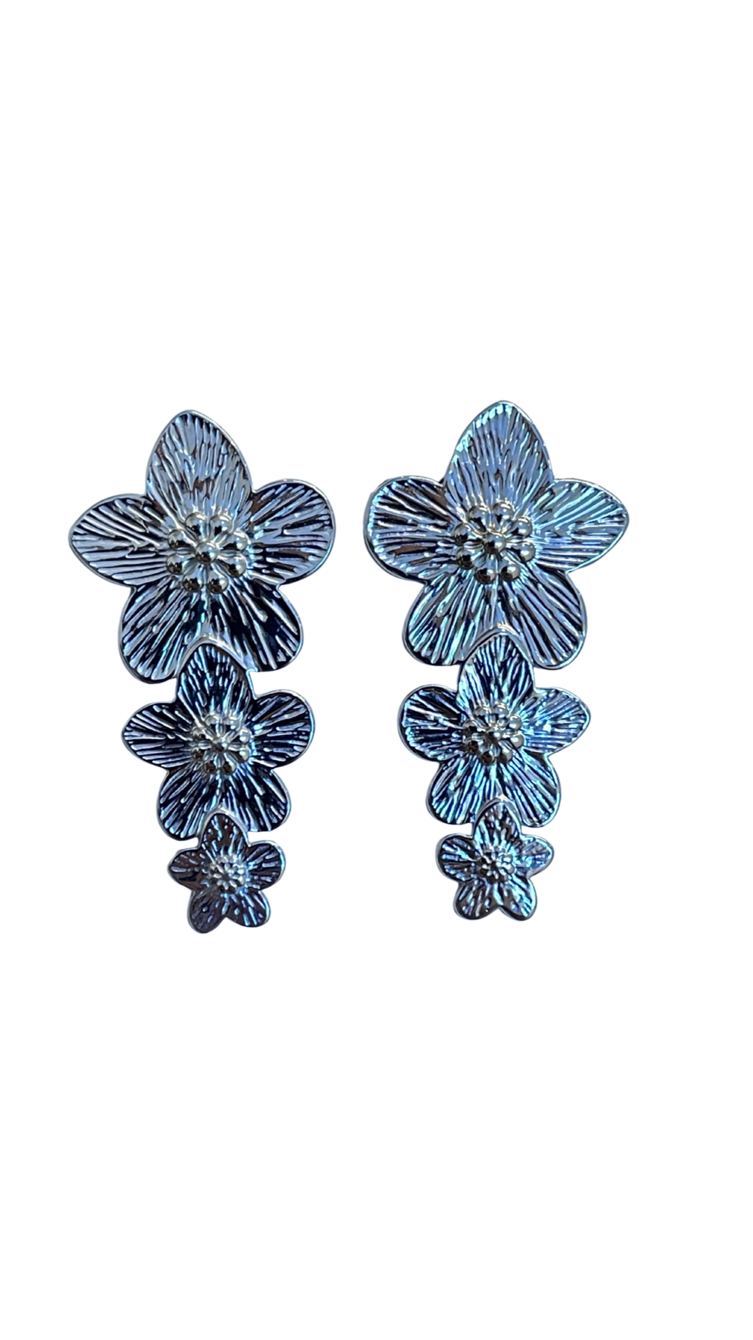 Aretes florida