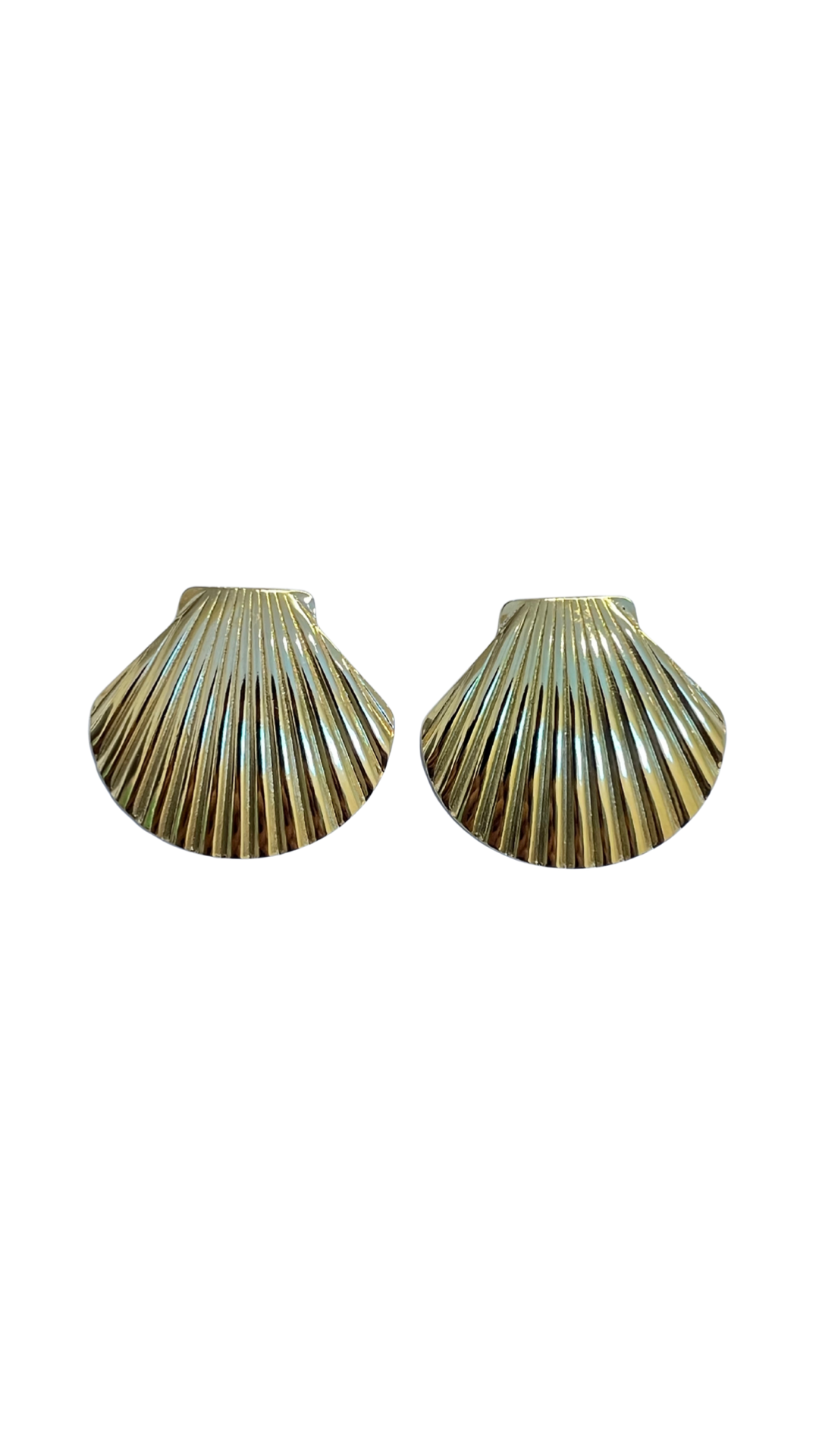 Aretes concha