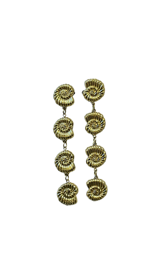 Aretes amonite