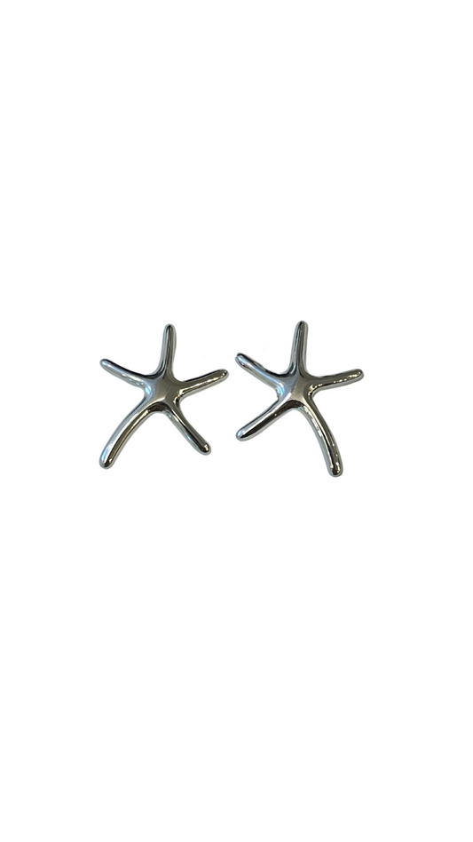 Aretes marina