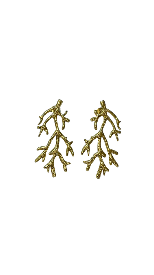 Aretes coral