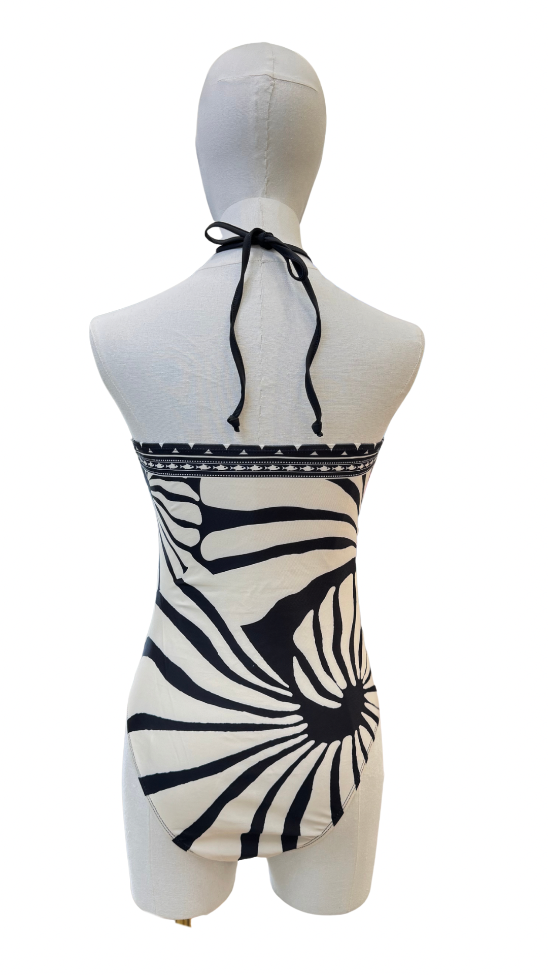 Bañador estampado nautilus
